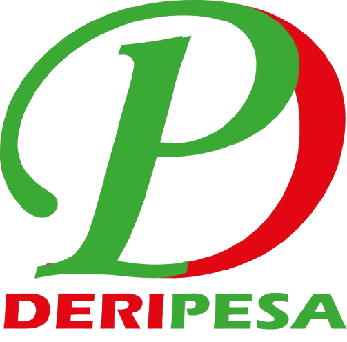 DeriPesa Logo